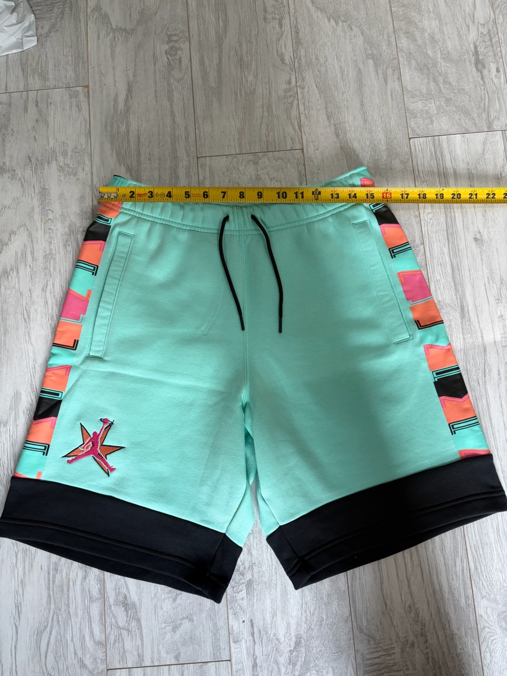 Air Jordan Teal Shorts
